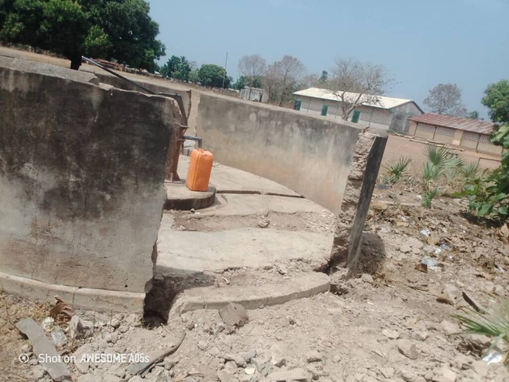 WhatsApp Image 2026-02-11 at 16.45.03